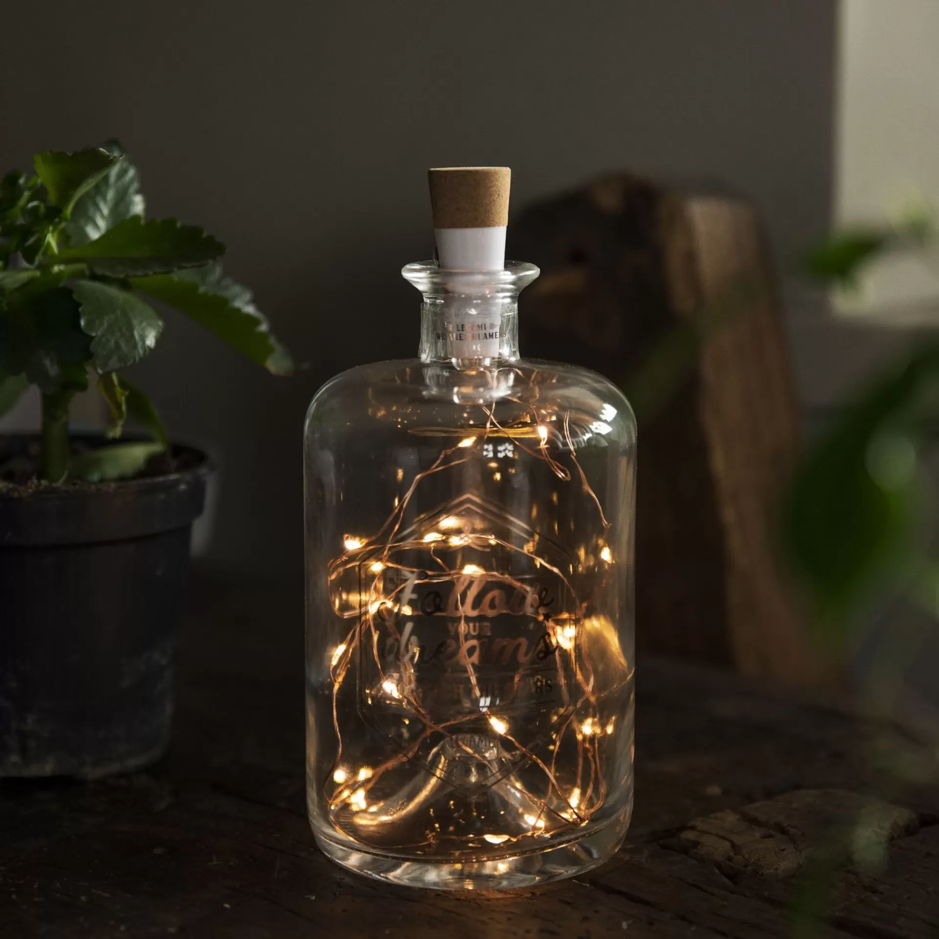 Legami Milano Bottiglia in Vetro con Filo di Luci Led- Luci Decorative