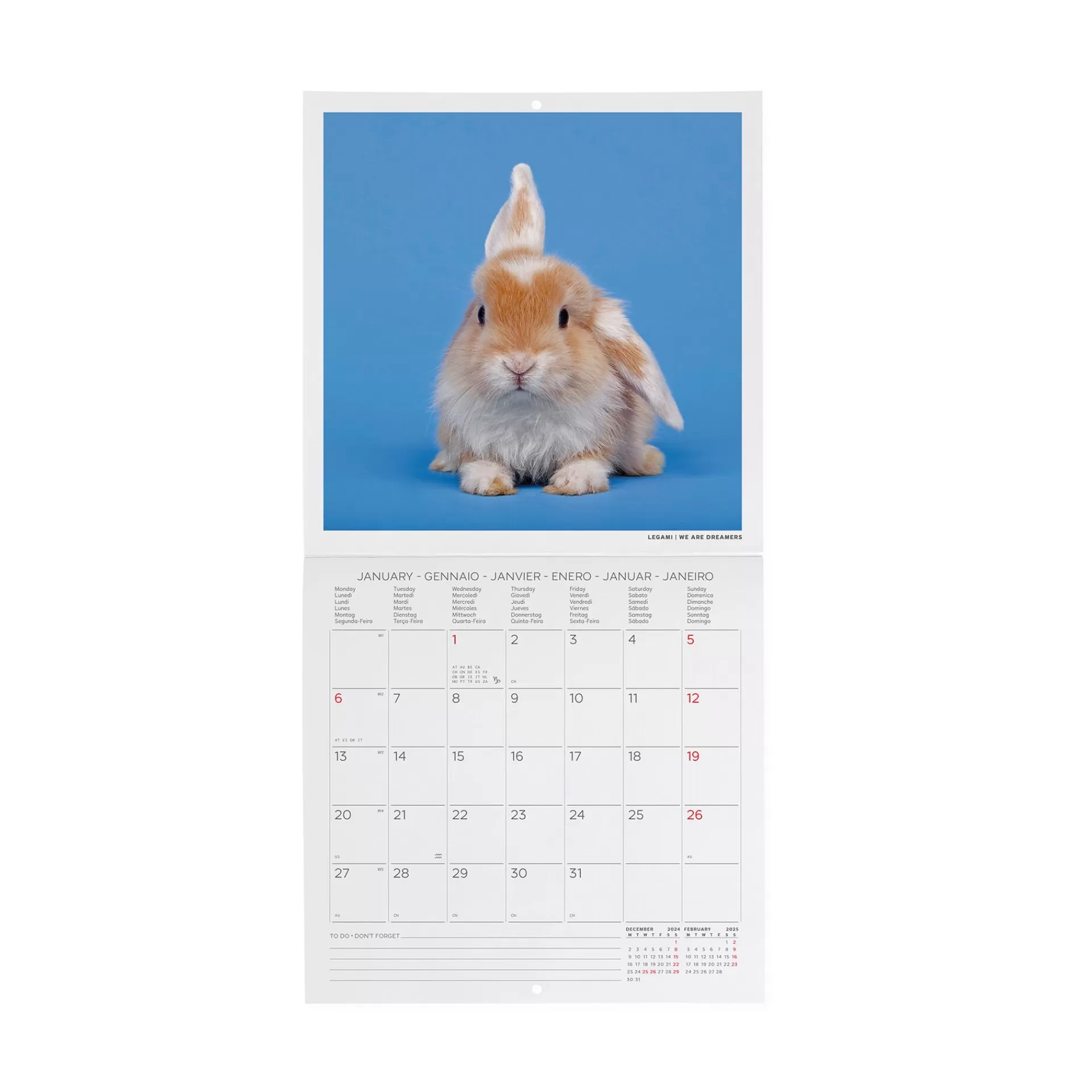 Legami Milano Calendario da Parete 2025 - 18 x 18 cm- Calendari Da Parete