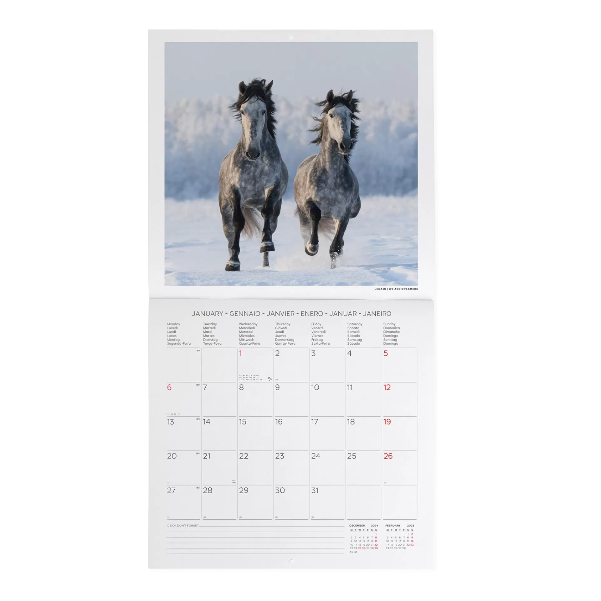 Legami Milano Calendario da Parete 2025 - 30 x 29 cm- Calendari Da Parete