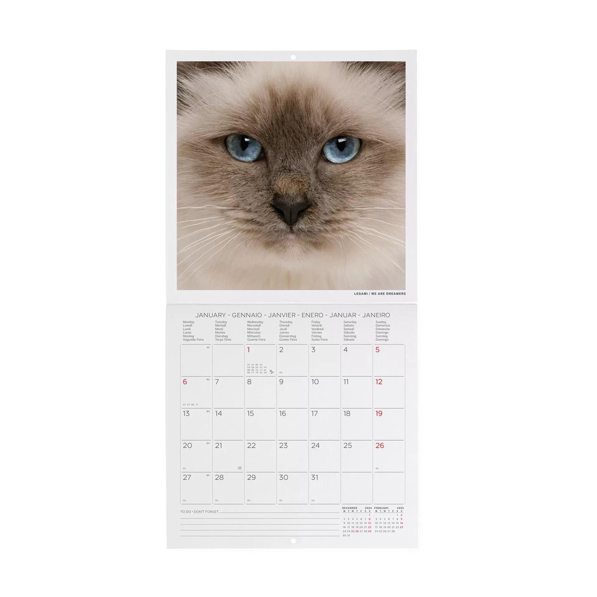 Legami Milano Calendario da Parete 2025 - 18 x 18 cm- Calendari Da Parete