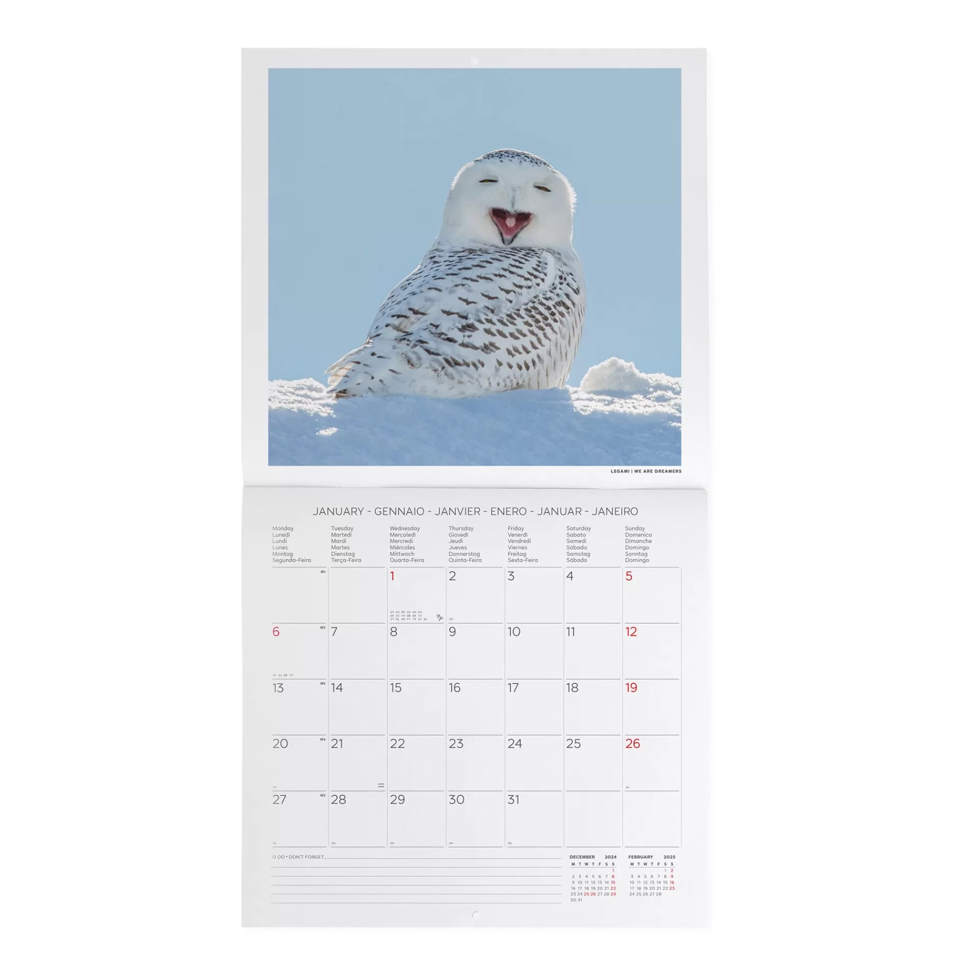 Legami Milano Calendario da Parete 2025 - 30 x 29 cm- Calendari Da Parete