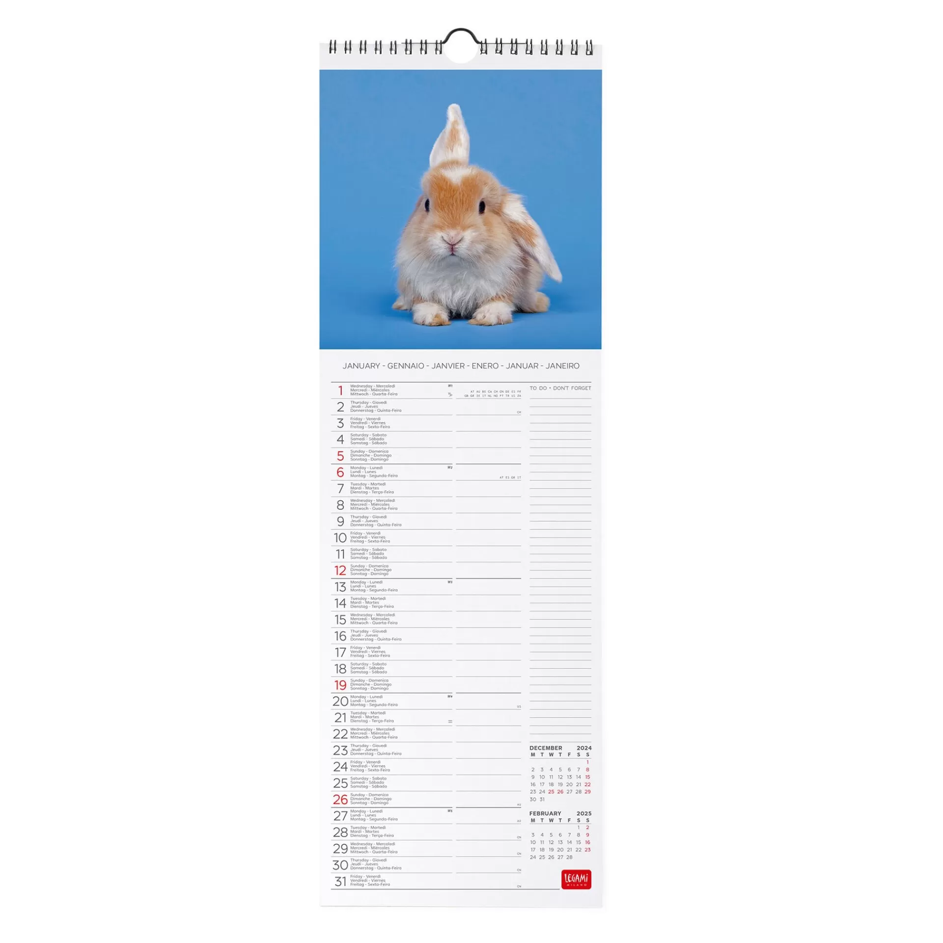 Legami Milano Calendario da Parete 2025 - 16 x 49 cm- Calendari Da Parete