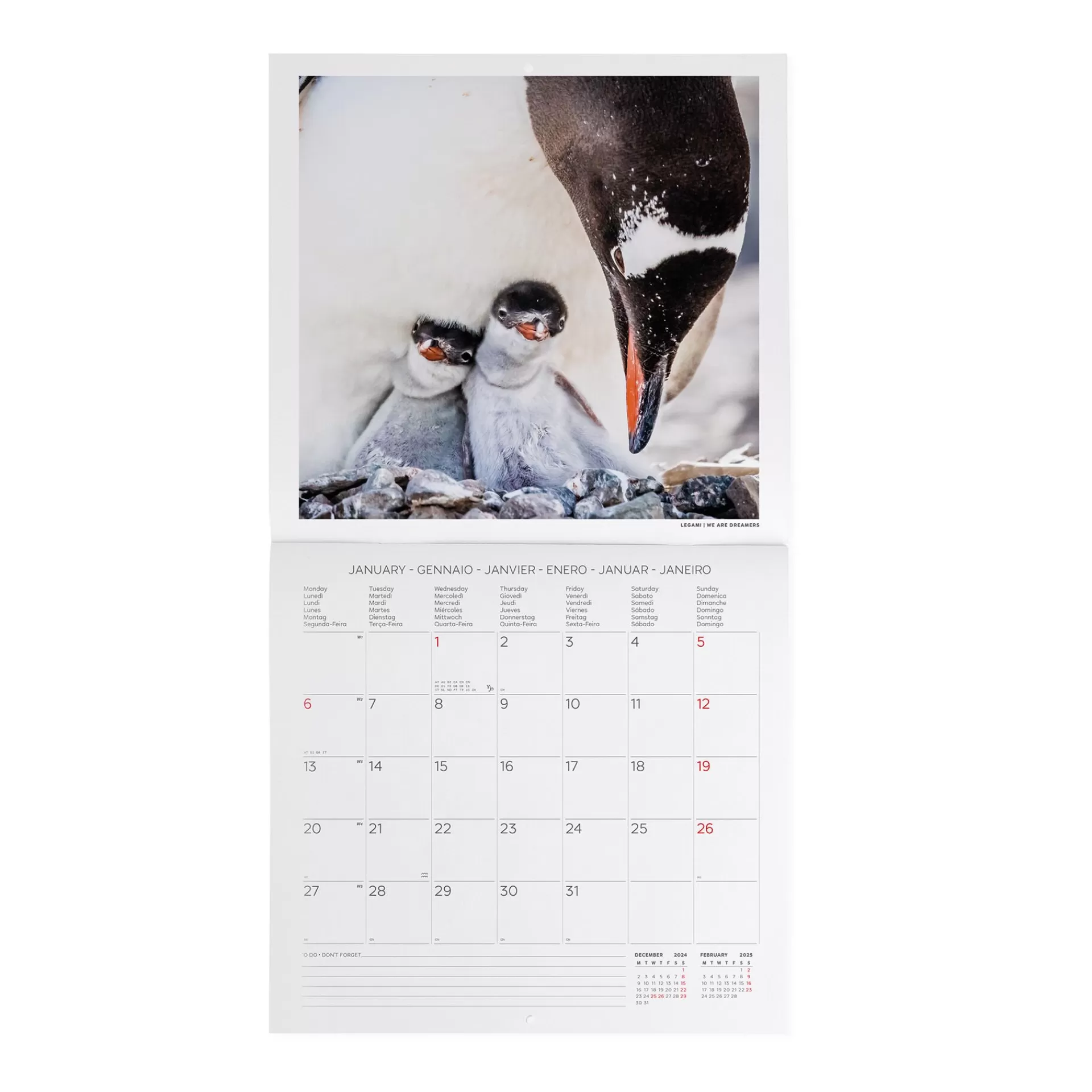 Legami Milano Calendario da Parete 2025 - 30 x 29 cm- Calendari Da Parete