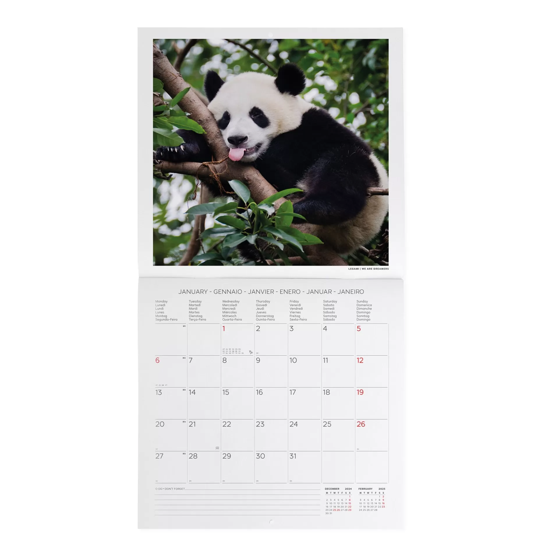 Legami Milano Calendario da Parete 2025 - 30 x 29 cm- Calendari Da Parete