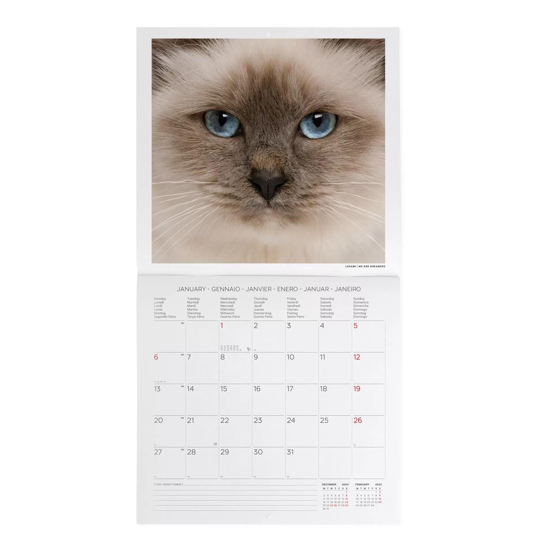 Legami Milano Calendario da Parete 2025 - 30 x 29 cm- Calendari Da Parete