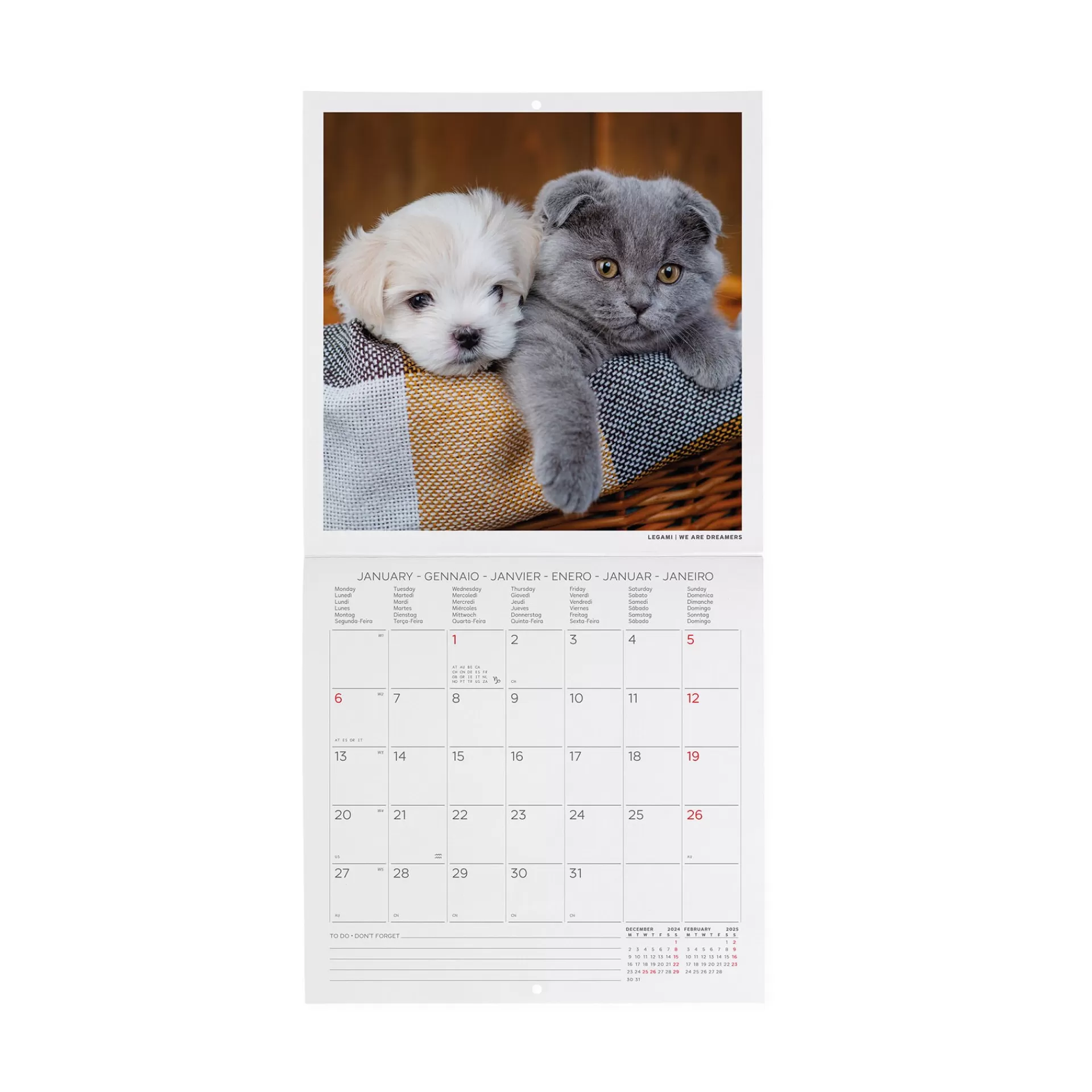 Legami Milano Calendario da Parete 2025 - 18 x 18 cm- Calendari Da Parete