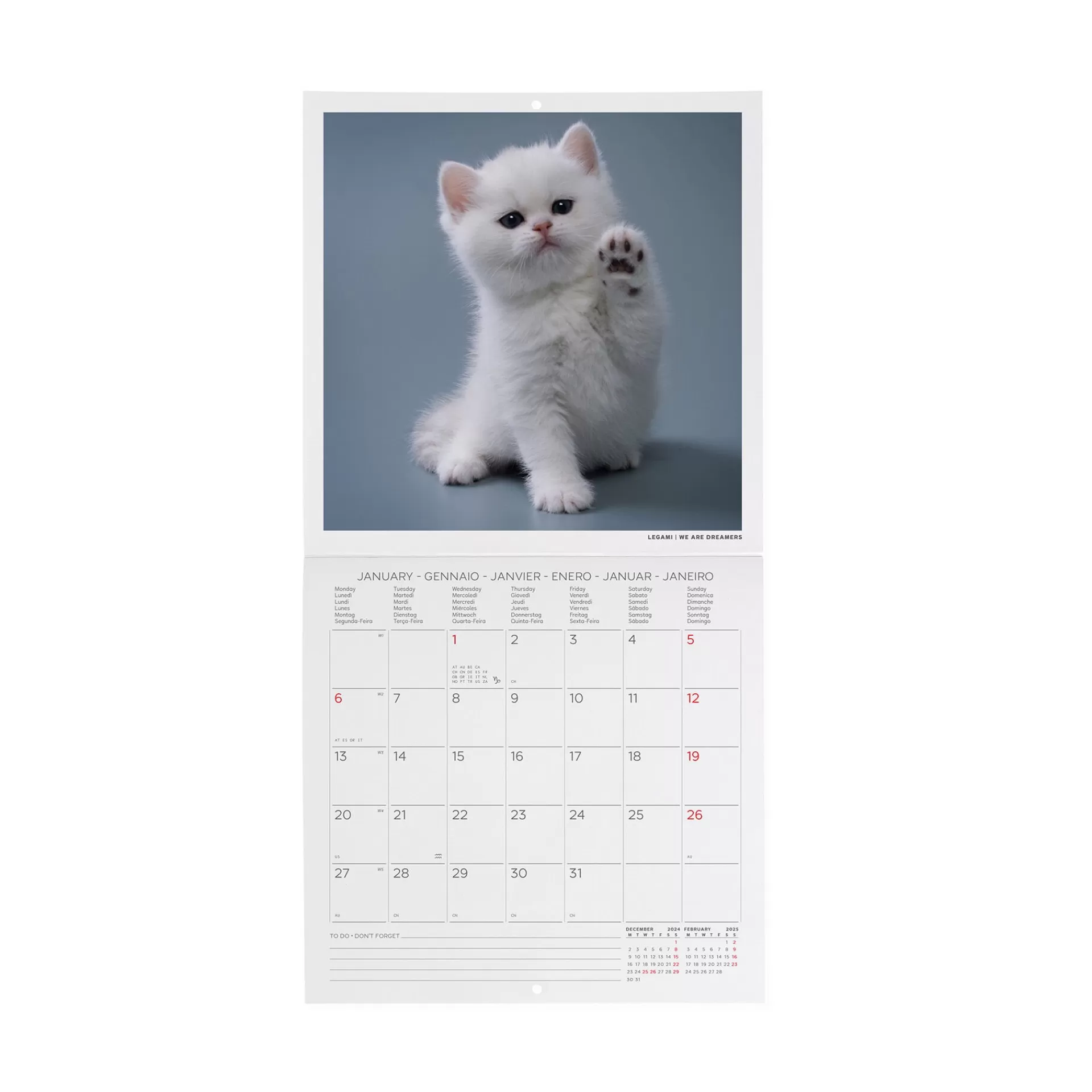 Legami Milano Calendario da Parete 2025 - 18 x 18 cm- Calendari Da Parete