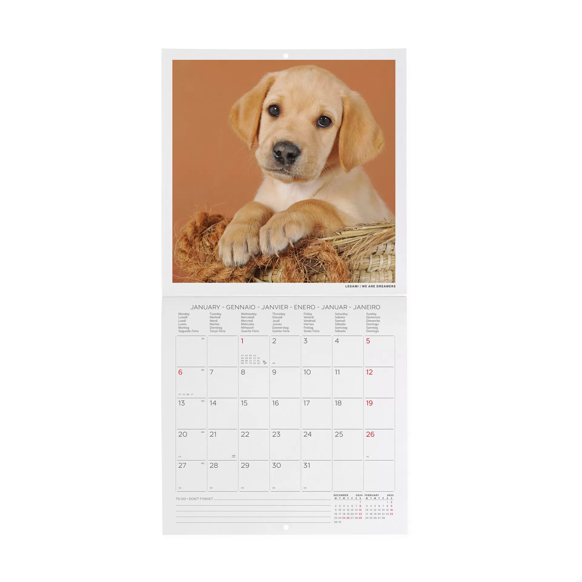 Legami Milano Calendario da Parete 2025 - 18 x 18 cm- Calendari Da Parete