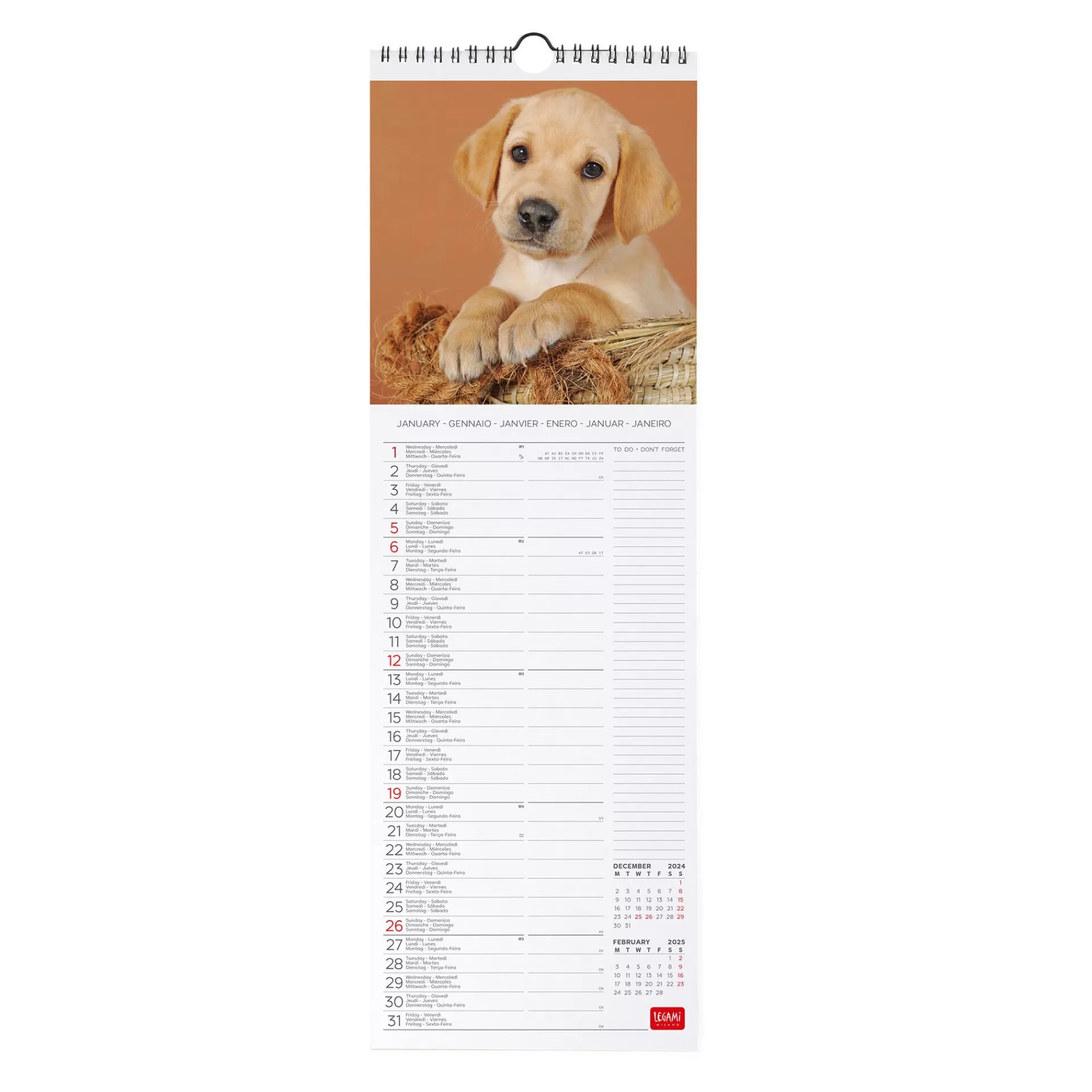Legami Milano Calendario da Parete 2025 - 16 x 49 cm- Calendari Da Parete