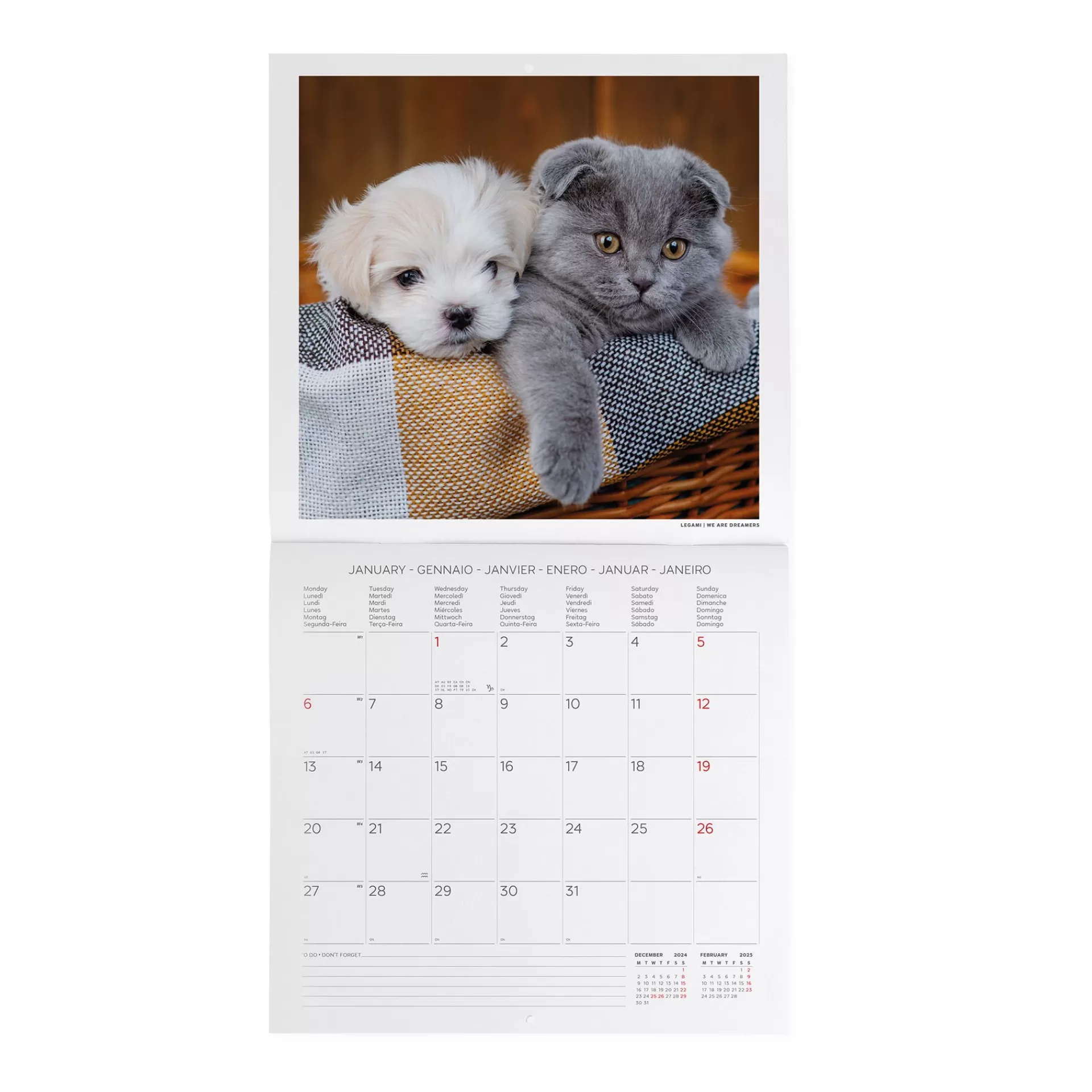 Legami Milano Calendario da Parete 2025 - 30 x 29 cm- Calendari Da Parete