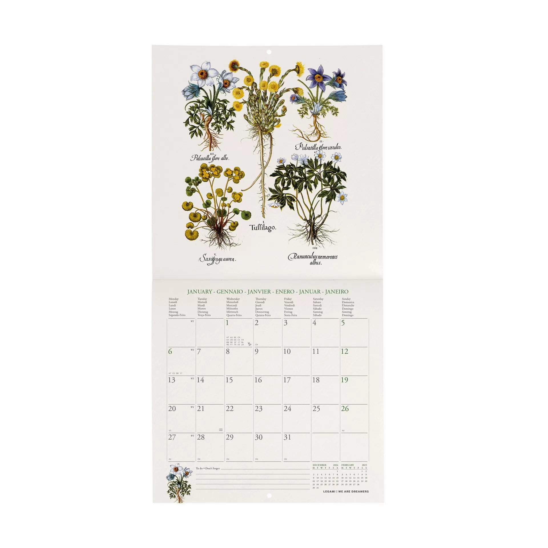 Legami Milano Calendario da Parete 2025 - 18 x 18 cm- Calendari Da Parete