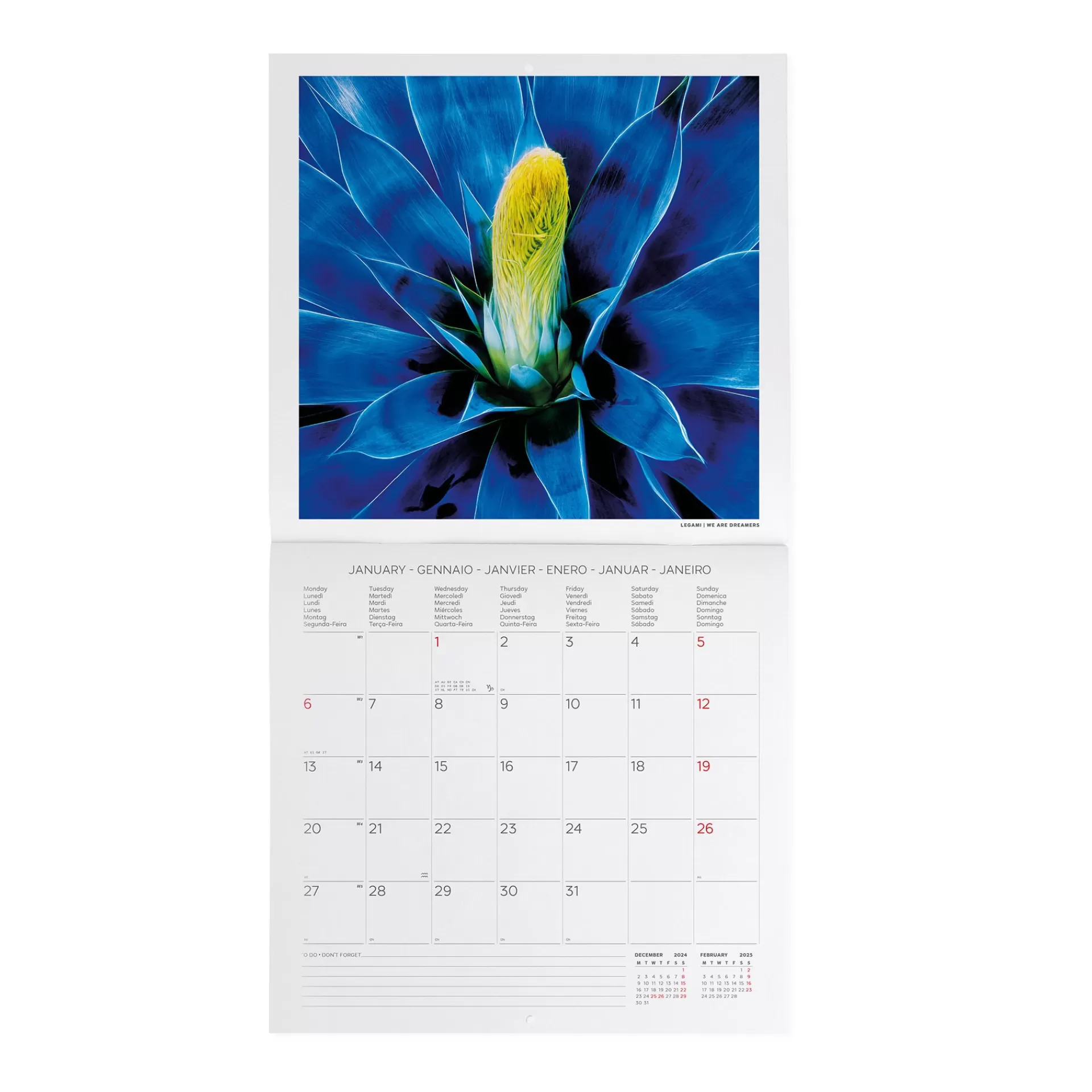 Legami Milano Calendario da Parete 2025 - 30 x 29 cm- Calendari Da Parete