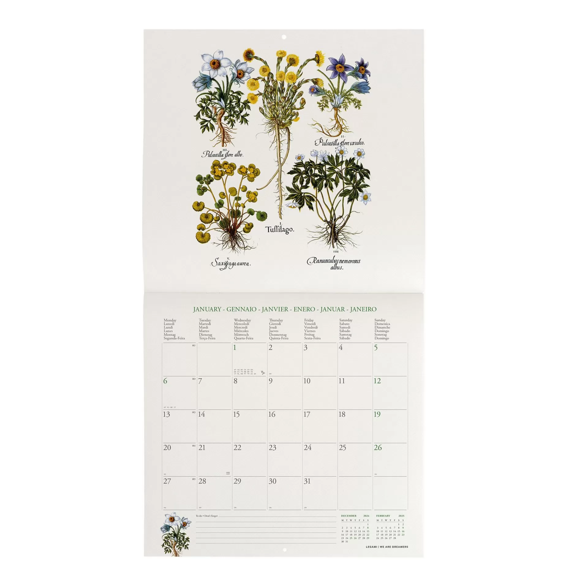 Legami Milano Calendario da Parete 2025 - 30 x 29 cm- Calendari Da Parete