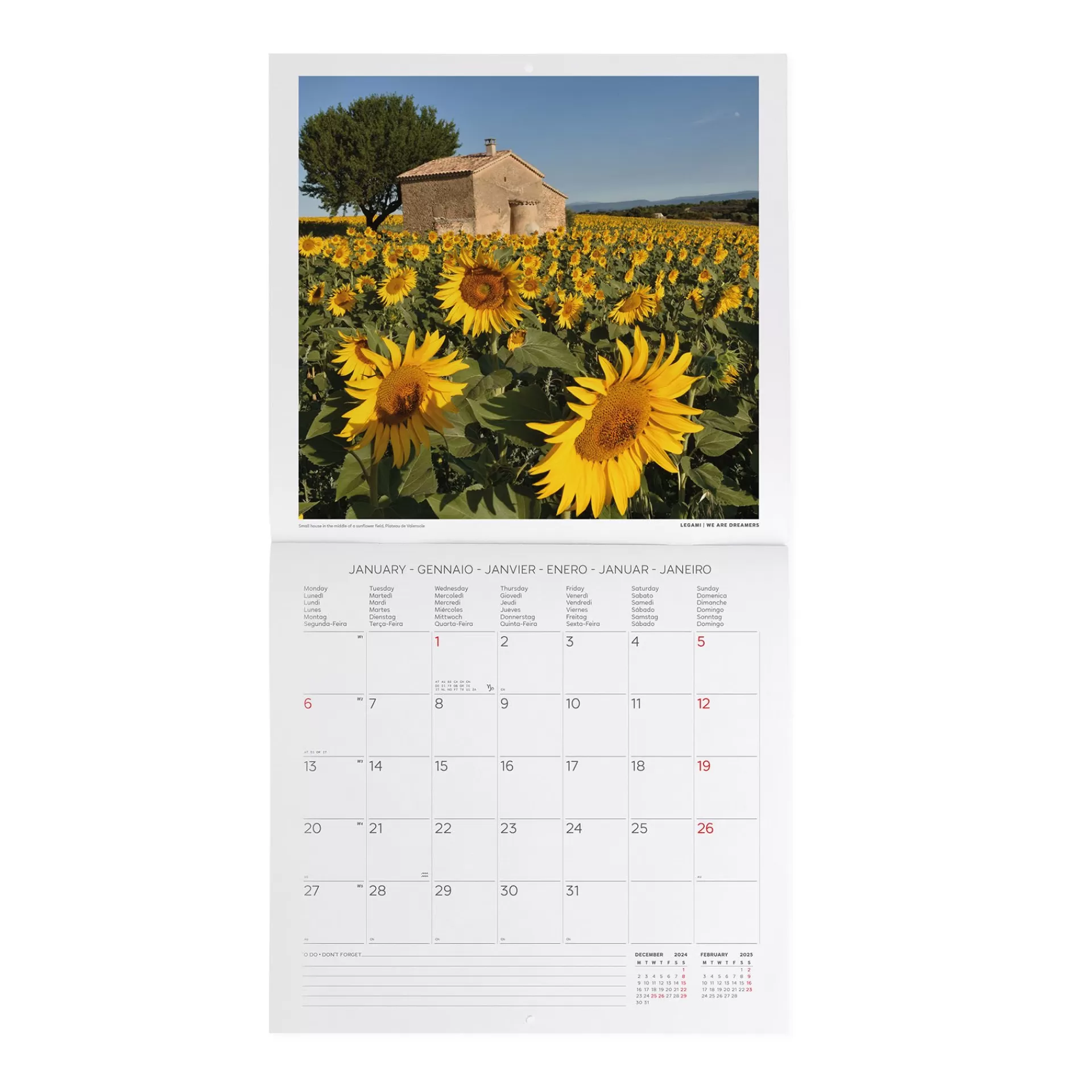 Legami Milano Calendario da Parete 2025 - 30 x 29 cm- Calendari Da Parete