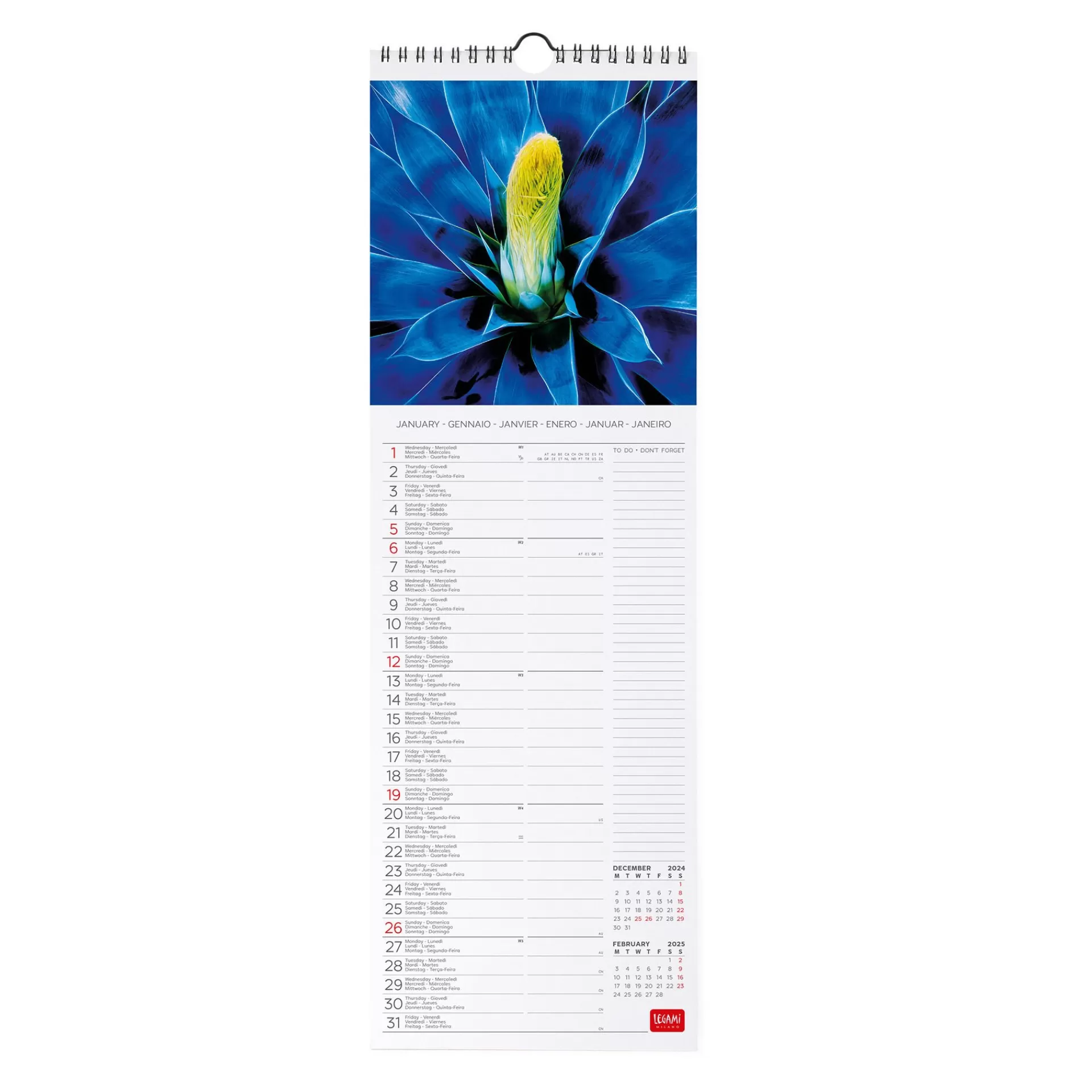 Legami Milano Calendario da Parete 2025 - 16 x 49 cm- Calendari Da Parete