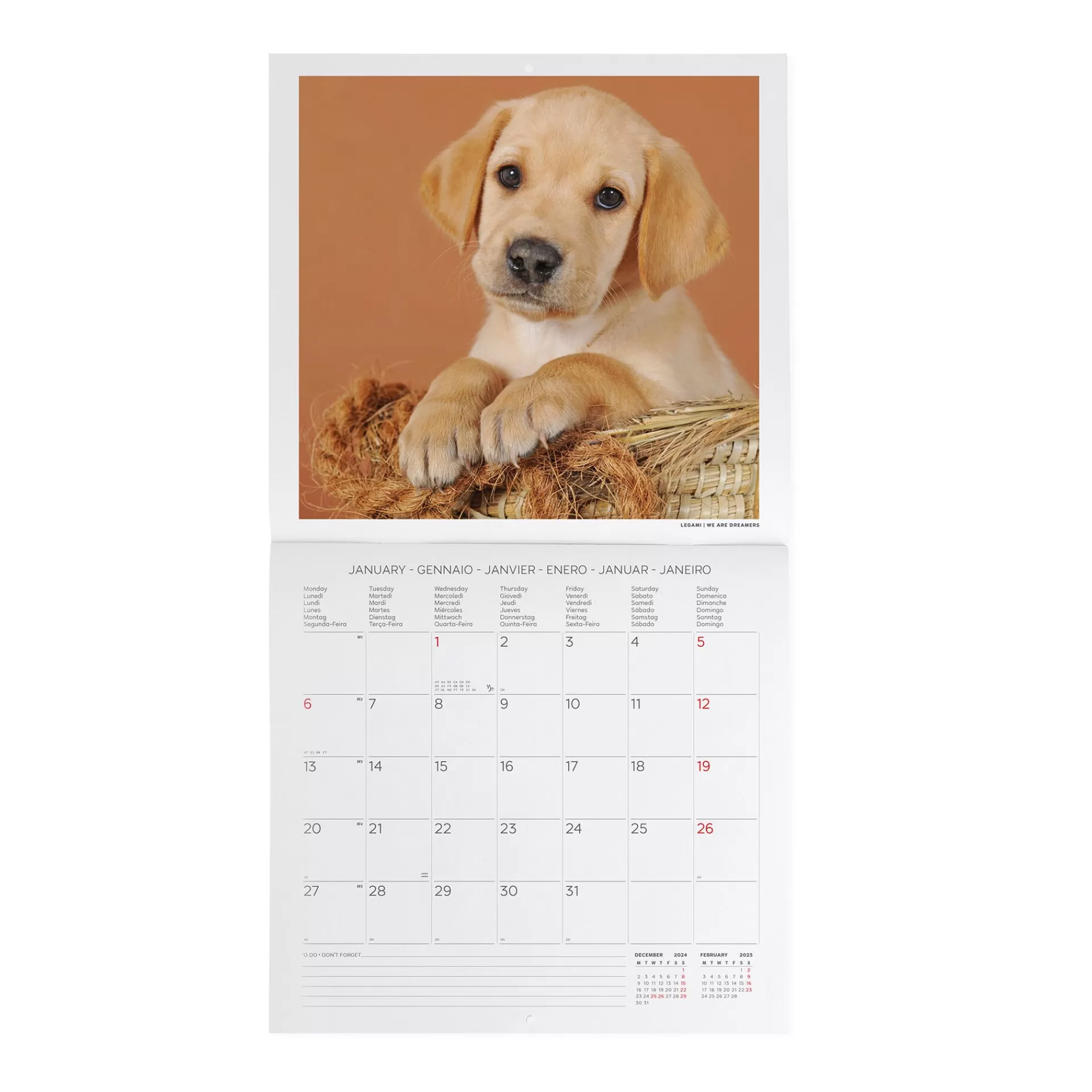 Legami Milano Calendario da Parete 2025 - 30 x 29 cm- Calendari Da Parete