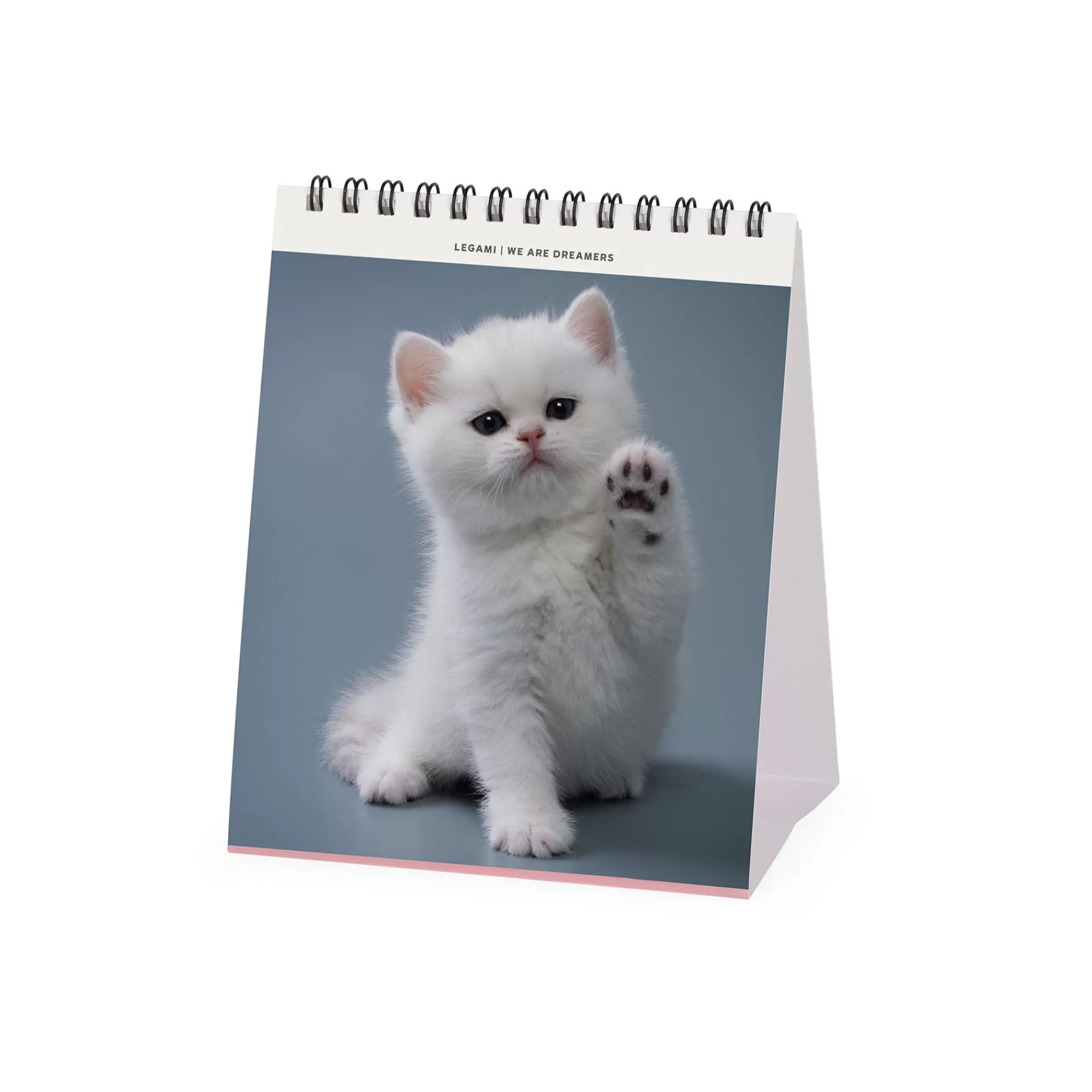 Legami Milano Calendario da Tavolo 2025 - 12 x 14,5 cm- Calendari Da Tavolo