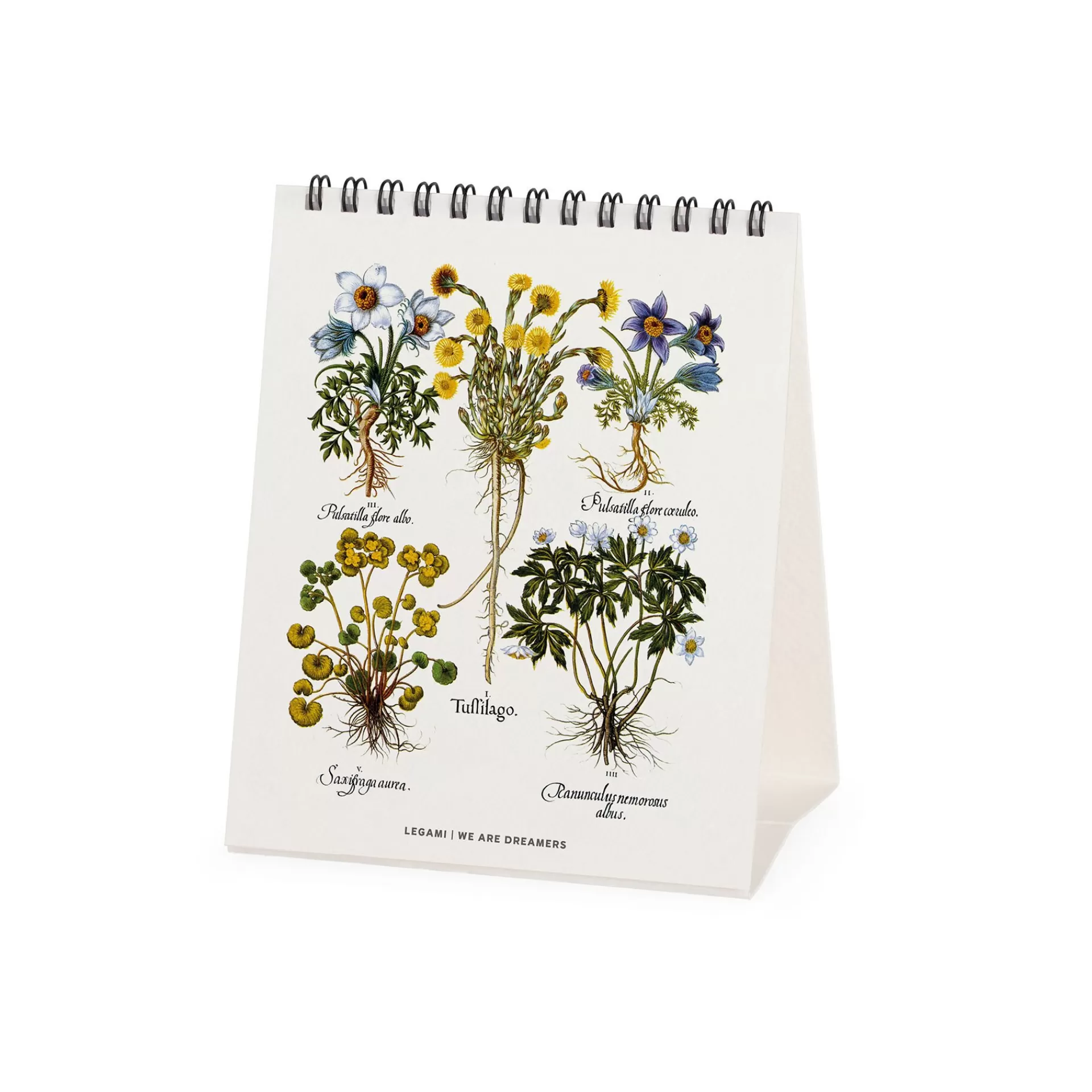 Legami Milano Calendario da Tavolo 2025 - 12 x 14,5 cm- Calendari Da Tavolo