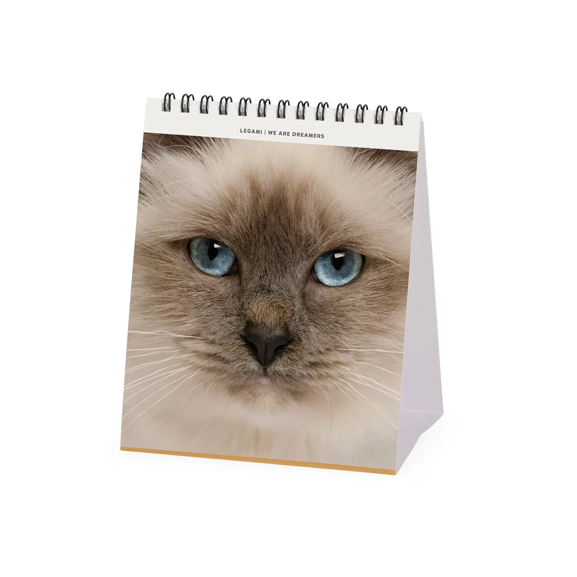 Legami Milano Calendario da Tavolo 2025 - 12 x 14,5 cm- Calendari Da Tavolo