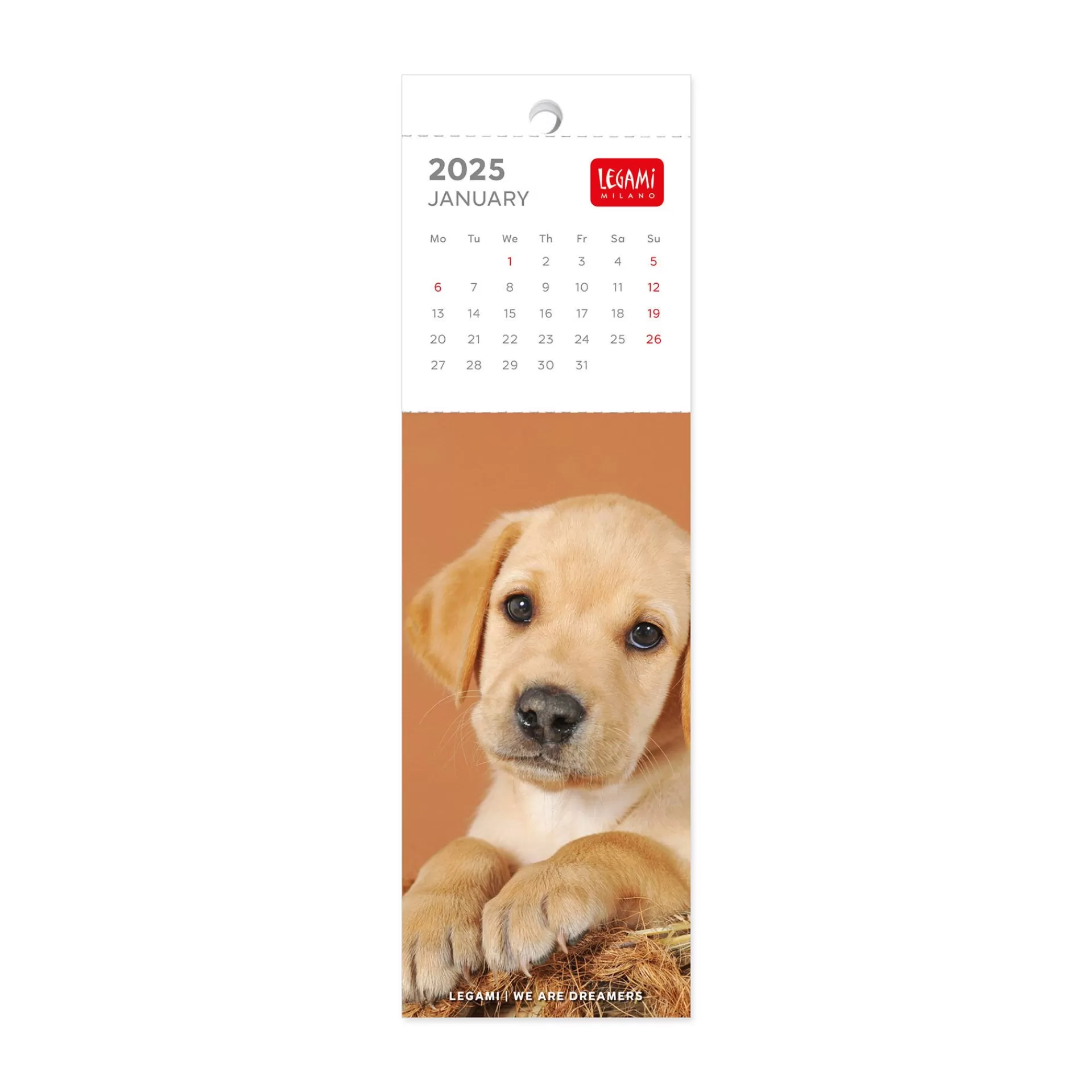 Legami Milano Calendario Segnalibro 2025 - 5,5 x 18 cm- Calendari Segnalibro