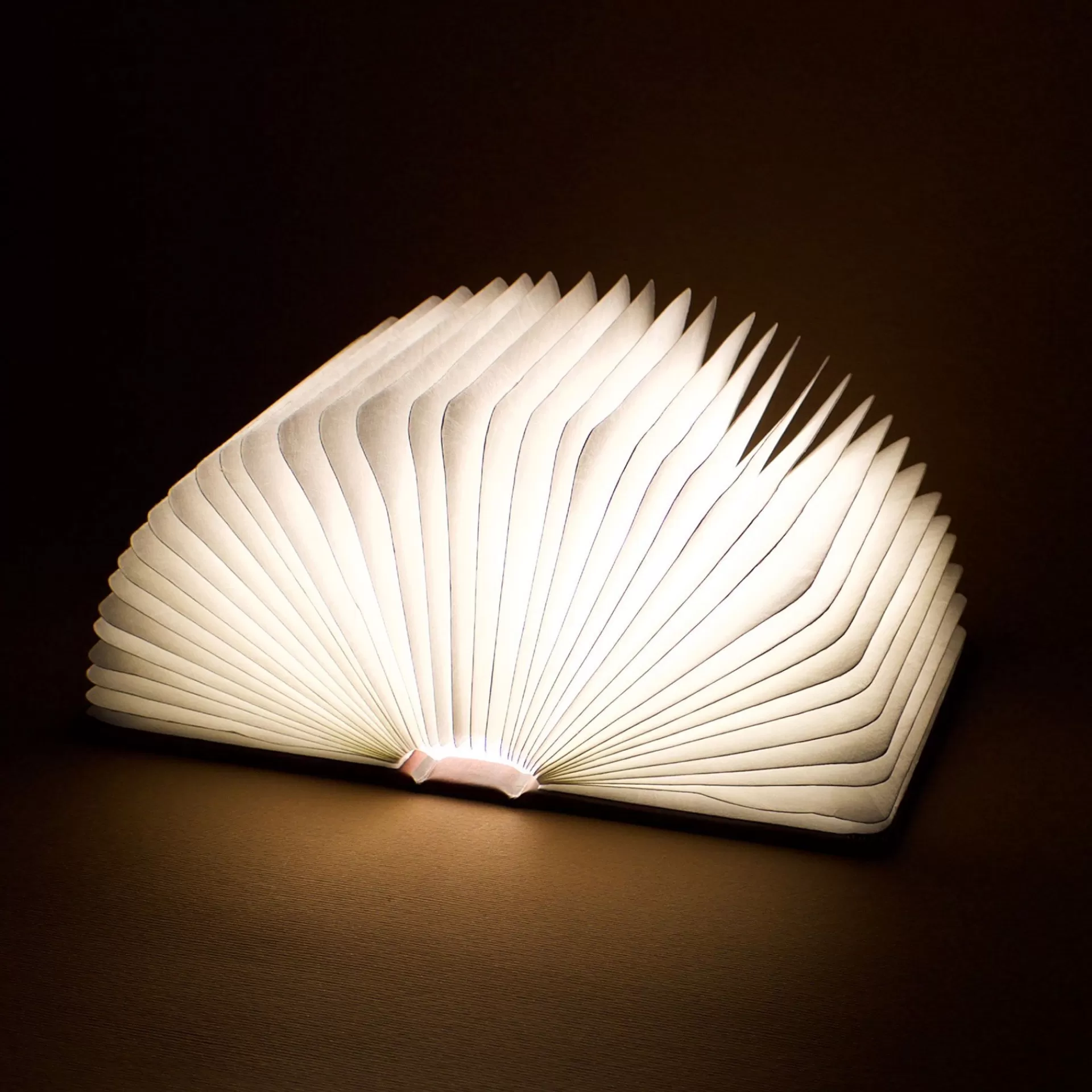 Legami Milano Libro Luminoso - Light Book- Lampade